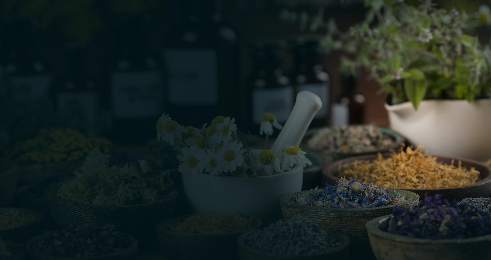 Se soigner par les plantes